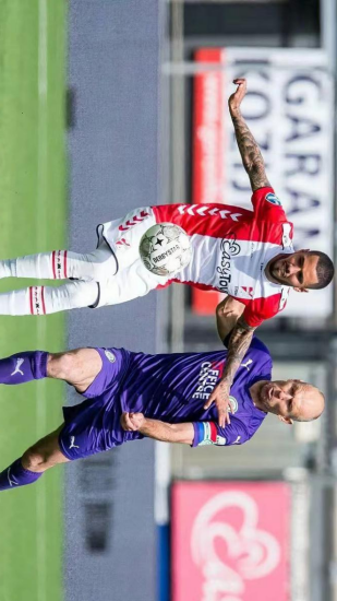 术的多样化 术的多样化